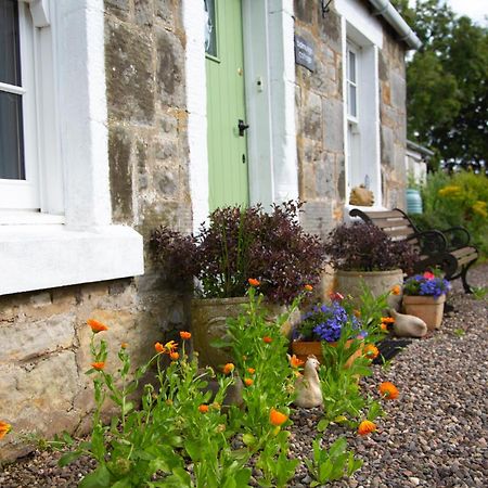 Balmungo Cottage B&B St Andrews Exterior photo
