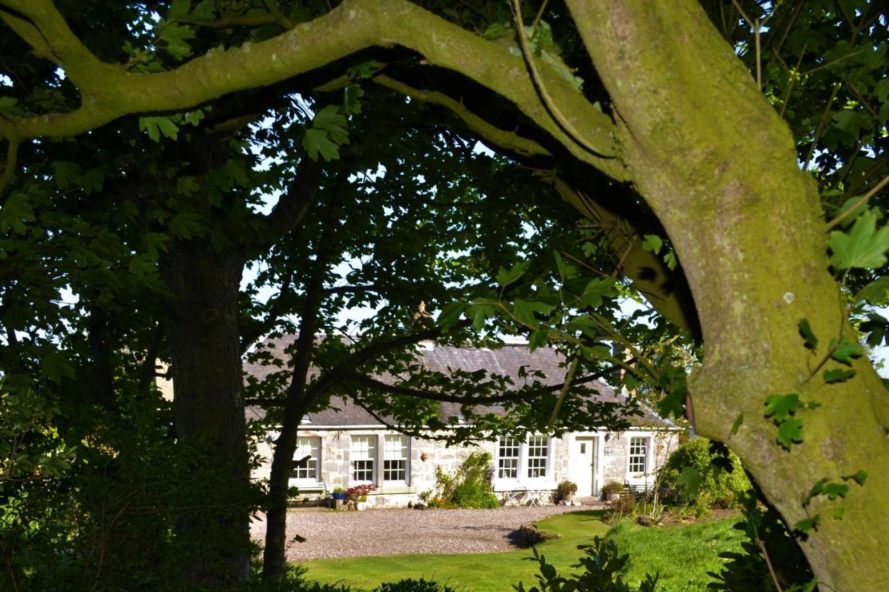 Balmungo Cottage B&B St Andrews Exterior photo