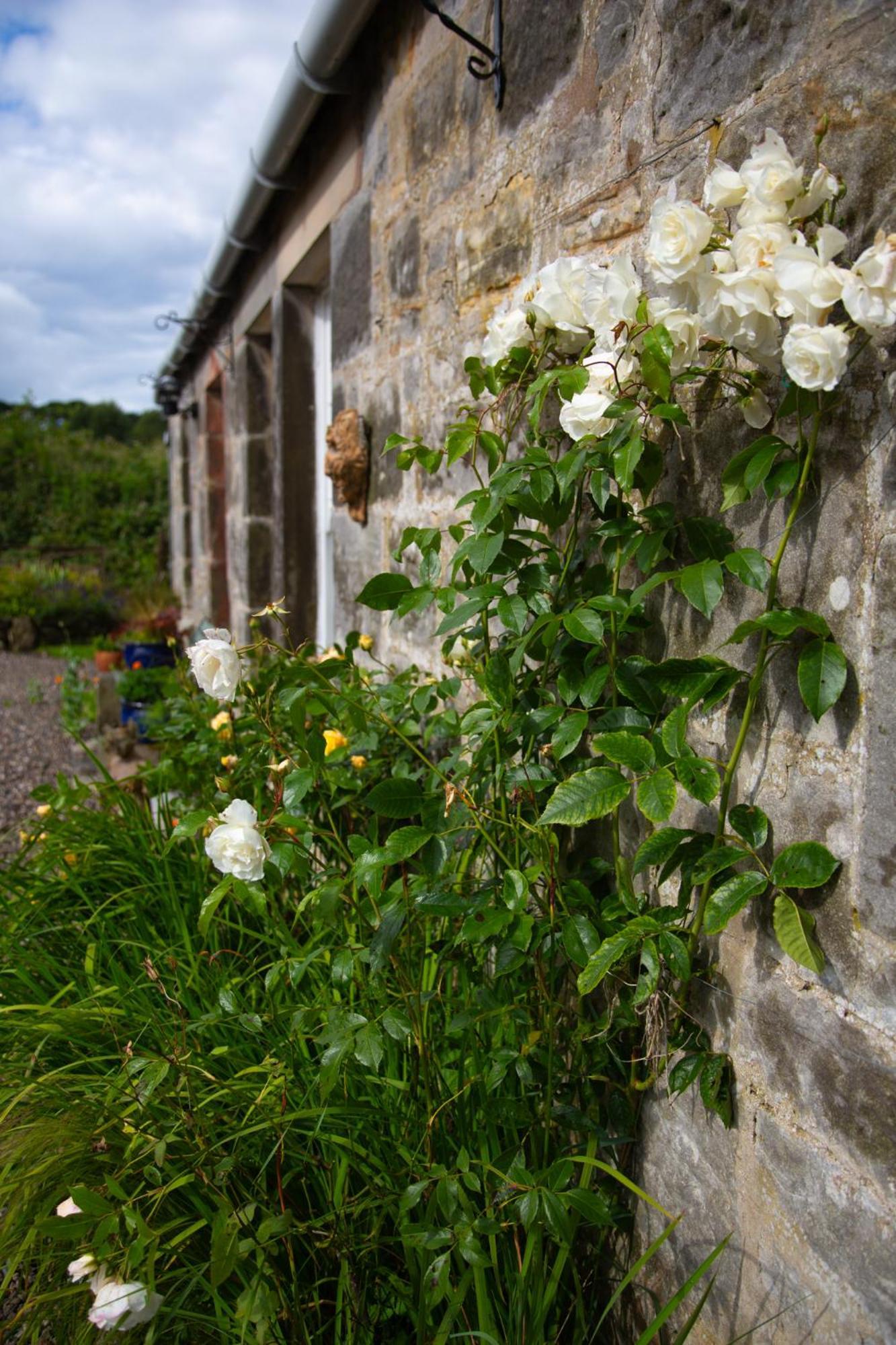 Balmungo Cottage B&B St Andrews Exterior photo