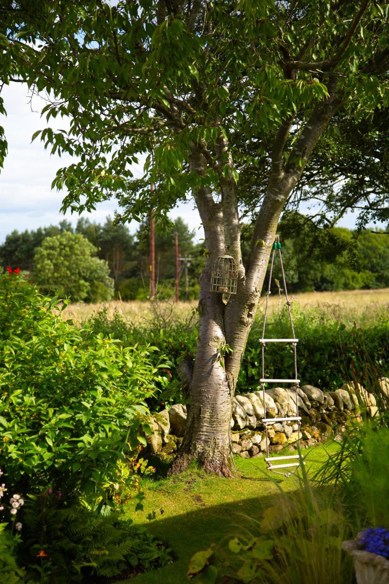 Balmungo Cottage B&B St Andrews Exterior photo